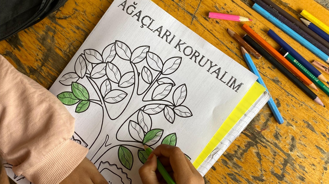 -Yeşil Vatan- Benim okulum Geleceğe Çare